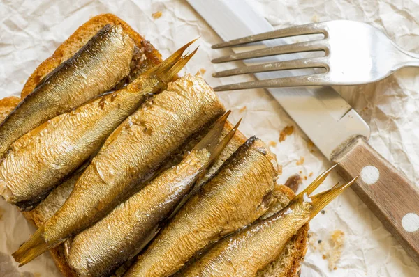 沙丁鱼的质朴早餐 — 图库照片