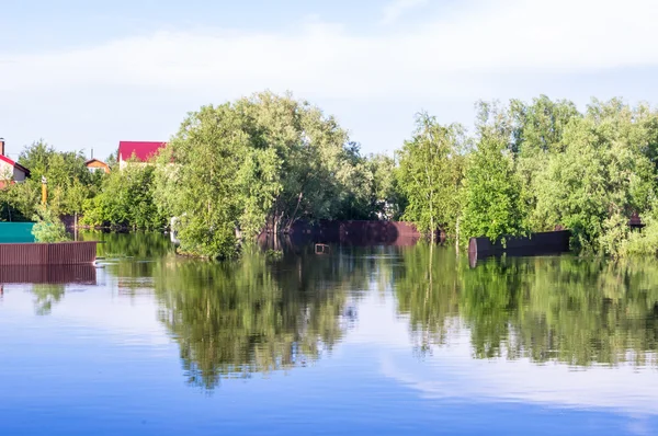 Flooded houses and trees — Stock Photo, Image