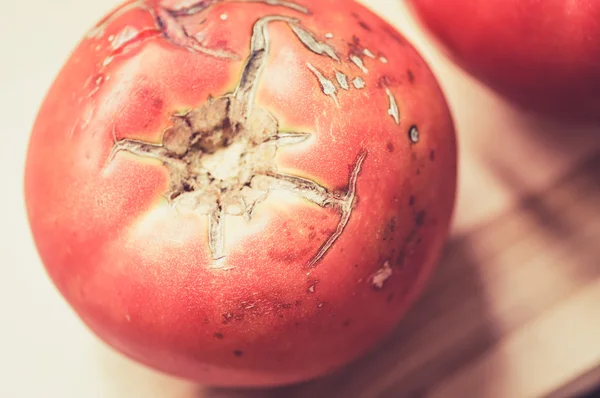 Big overripe red tomato top view — Zdjęcie stockowe