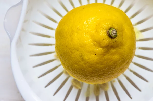 Half a lemon in a juicer — Stock Photo, Image