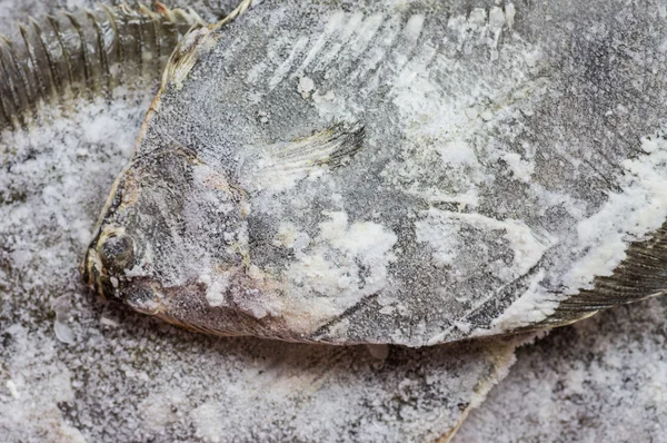 カウンターの上に冷凍魚ヒラメ — ストック写真