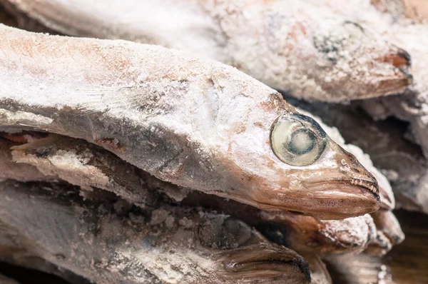 Fecho da cabeça de peixe congelado — Fotografia de Stock