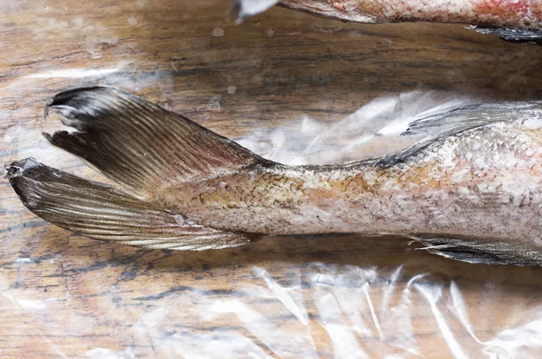 Ekor pollock ikan — Stok Foto