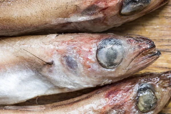 Primo piano testa di pesce congelato — Foto Stock