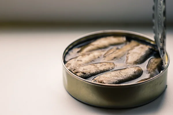 Open can of sardines, sprats and other fish — Stock Photo, Image