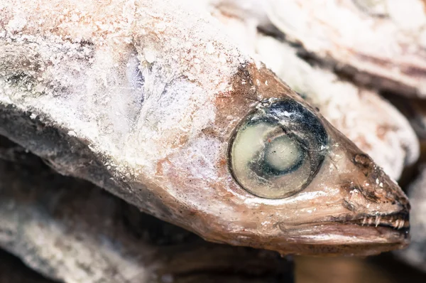 Размороженная рыбья голова — стоковое фото