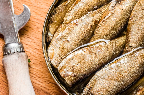 Canned sardines closeup top — Stock Photo, Image