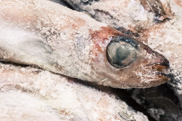 Ojo de pescado congelado tilapia —  Fotos de Stock