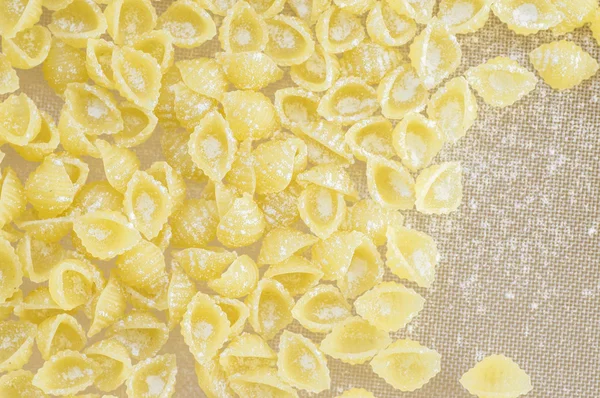 Pasta conchigliette in flour on the table — Stock Photo, Image