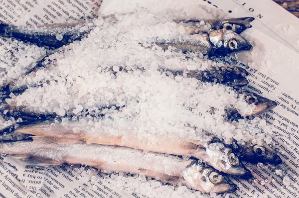 Sardine in salt on the newspaper — Stock Photo, Image