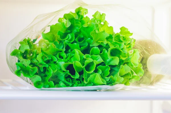 Lechuga en el refrigerador en casa — Foto de Stock