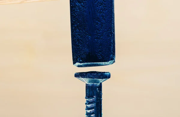 Hammer and nail head — Stock Photo, Image