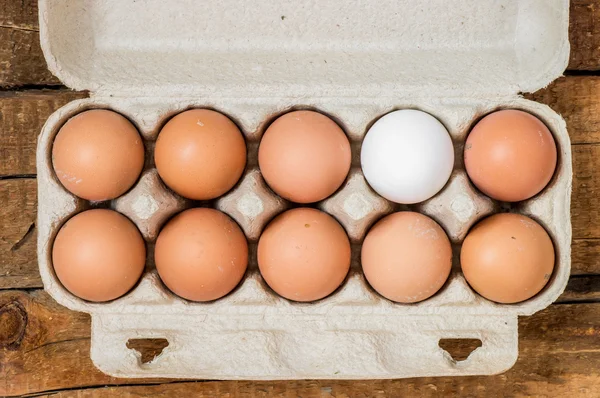 Öko-Packung mit braunen Eiern und einem weißen Stockbild