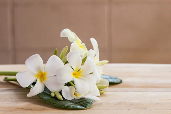 Plumeria květiny na dřevěný stůl a grunge textury pozadí — Stock fotografie