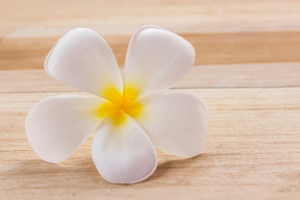 Ahşap masa Frangipani çiçek — Stok fotoğraf