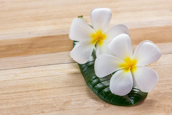 Flor fresca de frangipani en mesa de madera —  Fotos de Stock