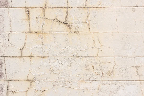 Hi res grunge cement texture and old backgrounds — Stock Photo, Image
