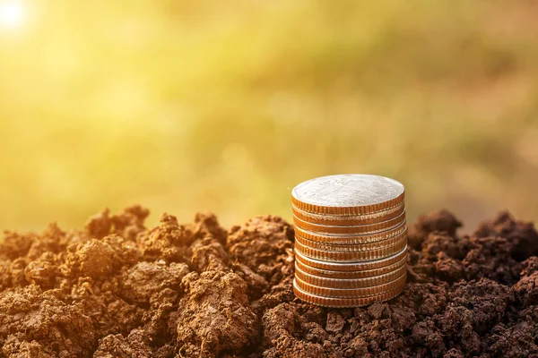 Money coin stack growing on ground with blurred background