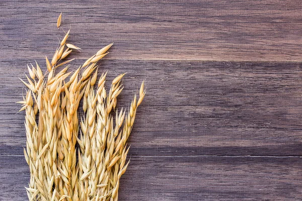 Orejas de avena sobre fondo de madera — Foto de Stock