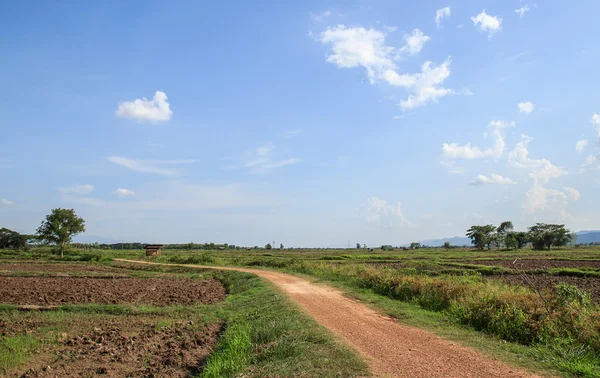 Local road in agricultural area — Stock Photo, Image