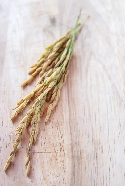 Spike on a wooden cutting board Stock Photo