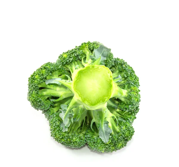 Nahaufnahme Brokkoli isoliert auf weißem Hintergrund — Stockfoto