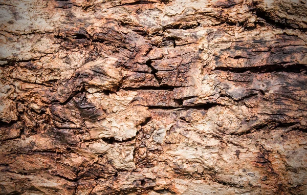 Fondo de textura de madera vieja —  Fotos de Stock