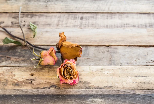 Gedroogde rozen op oude houten achtergrond — Stockfoto