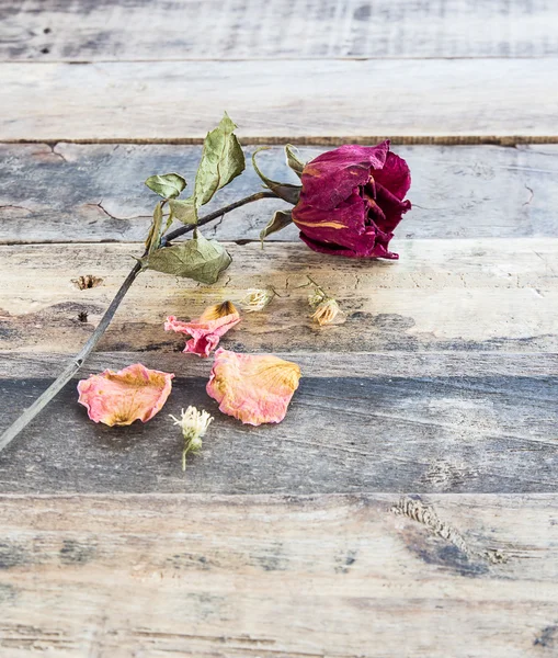 Gedroogde rozen op oude houten achtergrond — Stockfoto