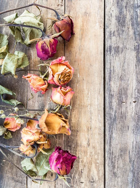 Сухая роза на деревянном фоне — стоковое фото