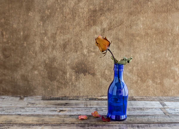 Sucha róża w niebieskich butelkach na drewnianym tle — Zdjęcie stockowe