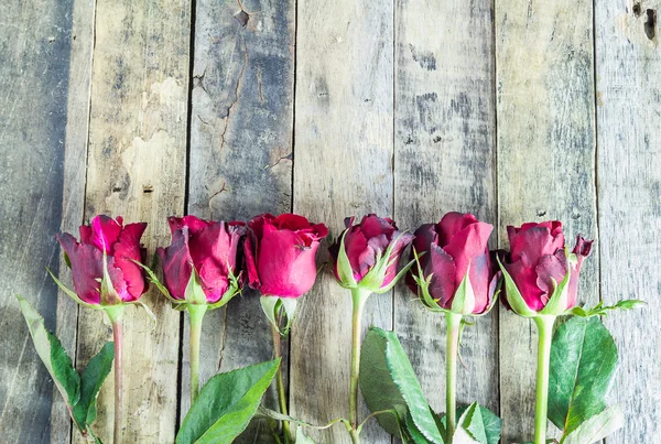 Frische rote Rose auf Holzgrund. — Stockfoto