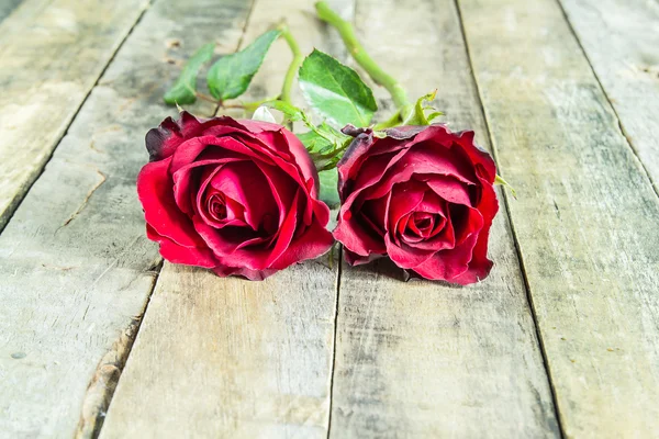 Dos rosas rojas frescas sobre fondo de madera —  Fotos de Stock