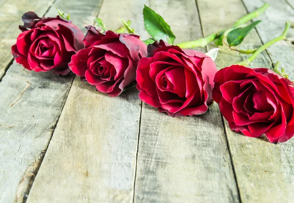 Rose rouge fraîche sur fond bois — Photo