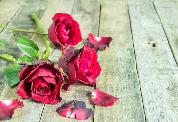 Rosa roja fresca sobre fondo de madera —  Fotos de Stock