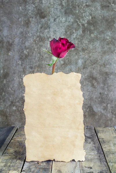 Świeży czerwony róża i stary papier na drewniane tła — Zdjęcie stockowe