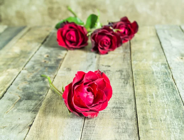 Rose rouge fraîche sur fond bois. Saint Valentin — Photo