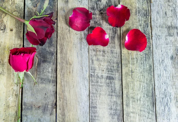 Verse rode roos op een houten achtergrond. — Stockfoto