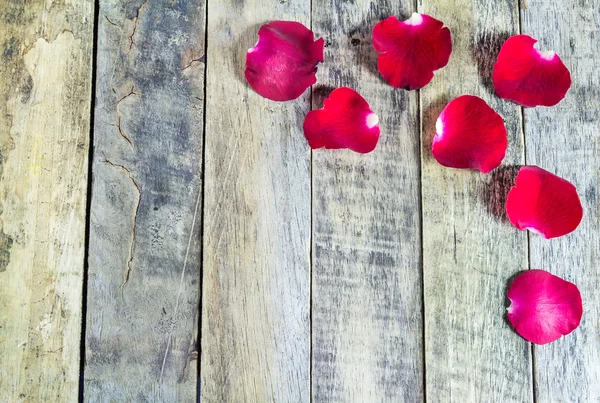 Świeża czerwona róża na drewnianym tle. — Zdjęcie stockowe