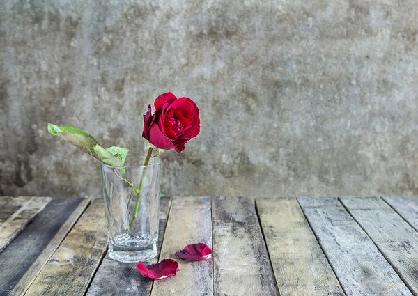 Frische rote Rose in Glasflasche auf Holzgrund — Stockfoto