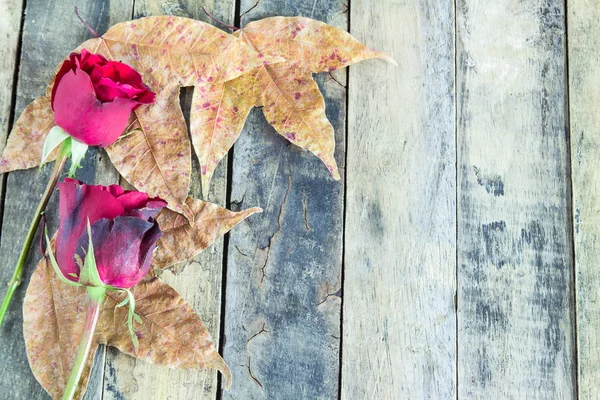 Fermer rose rouge et feuilles sèches sur un fond en bois — Photo
