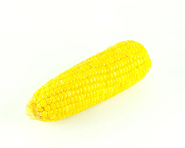 Уши сладкой кукурузы на белом фоне — стоковое фото