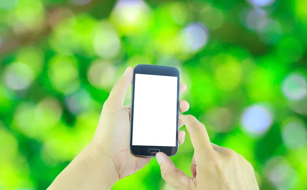 Hand holding smart phone isolated on abstract green bokeh backgr — Stock fotografie