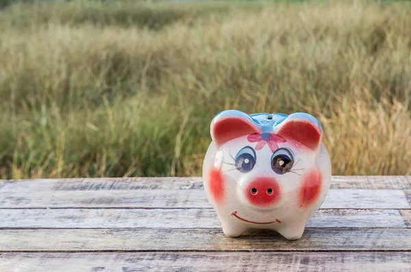 Sparschwein auf Holztisch vor verschwommenem Hintergrund. — Stockfoto