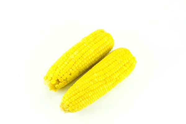 Вуха солодкої кукурудзи на білому тлі — стокове фото