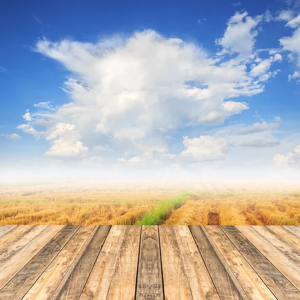 Vecchio tavolo in legno con campo di grano e cielo blu — Foto Stock