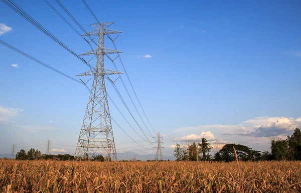 Puesto de alto voltaje. Alto voltaje torre cielo fondo. — Foto de Stock