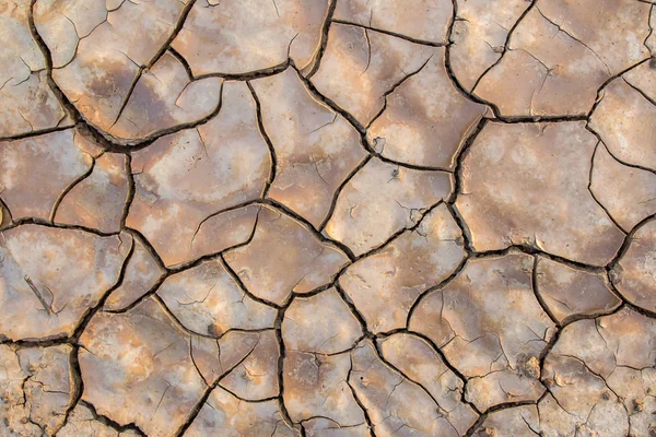 Died and cracked soil — Stock Photo, Image