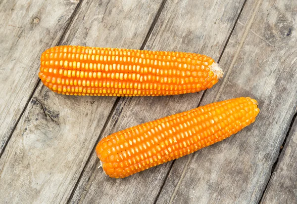 Dried corn on old wooden background — Stock Photo, Image