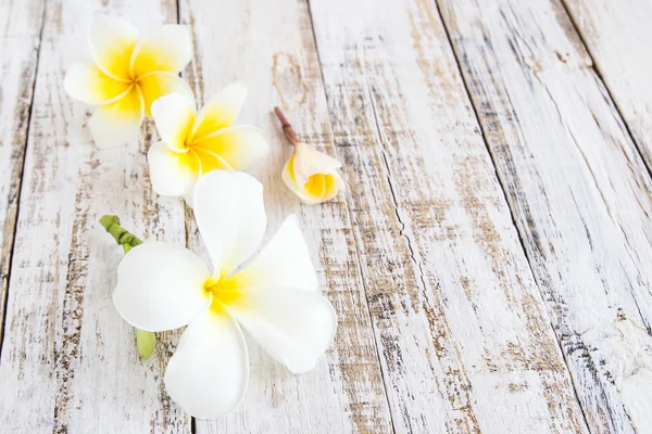 Plumeria bloemen op een houten achtergrond — Stockfoto